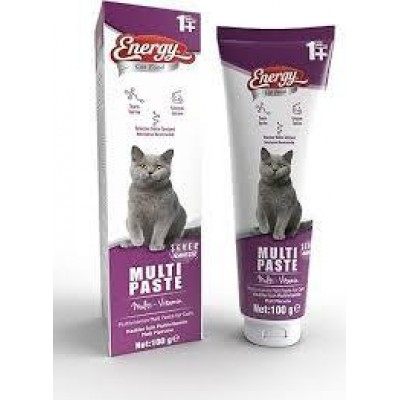 ENERGY YETİŞKİN KEDİ MULTİ PASTE 100GR 1+YAŞ