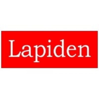 LAPıDEN MODERN Tüy Dökücü Krem 40GR LAPıDEN MODERN Tüy Dökücü Krem 40GR