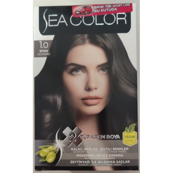 SEA COLOR 1/0 SİYAH  2 TÜP KREM BOYA SET